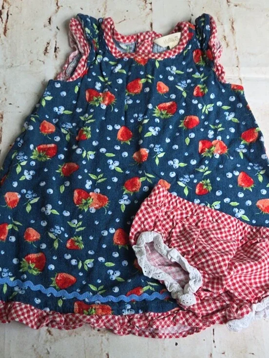 Blue Strawberry Print Toddler Dress with Red Gingham Trim
