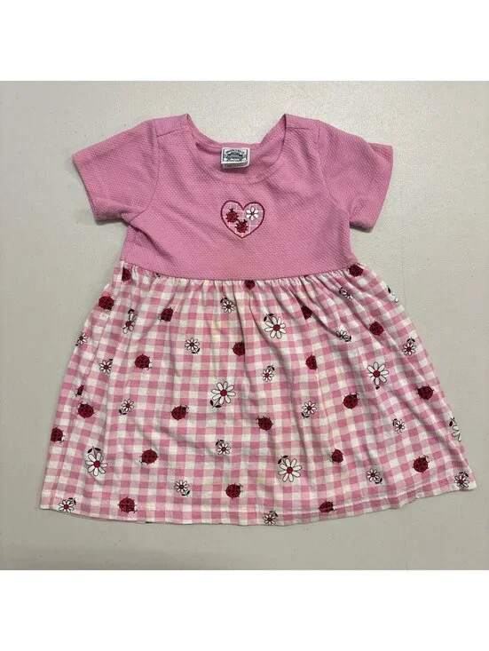 Vintage Beverly Hills Boulevard Gingham Ladybug Flower Dress Size 4