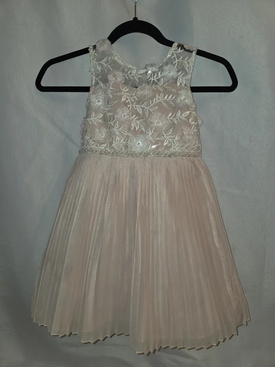 Rare Editions Blush Pink Embroidered Floral Pleated Dress