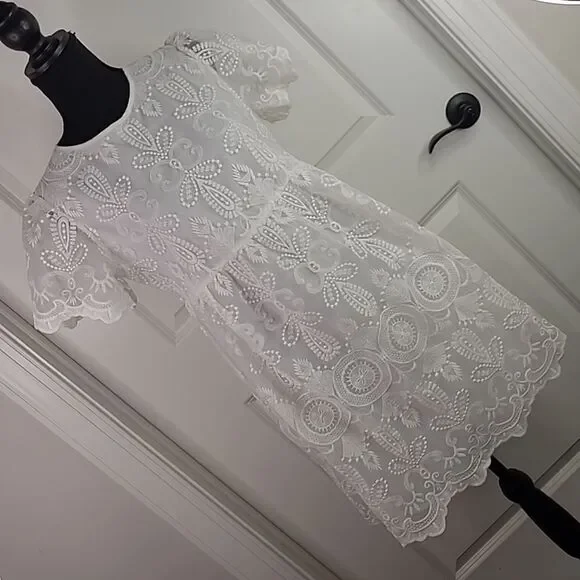 SHEIN  sz S embroidered sheer dress with full lining