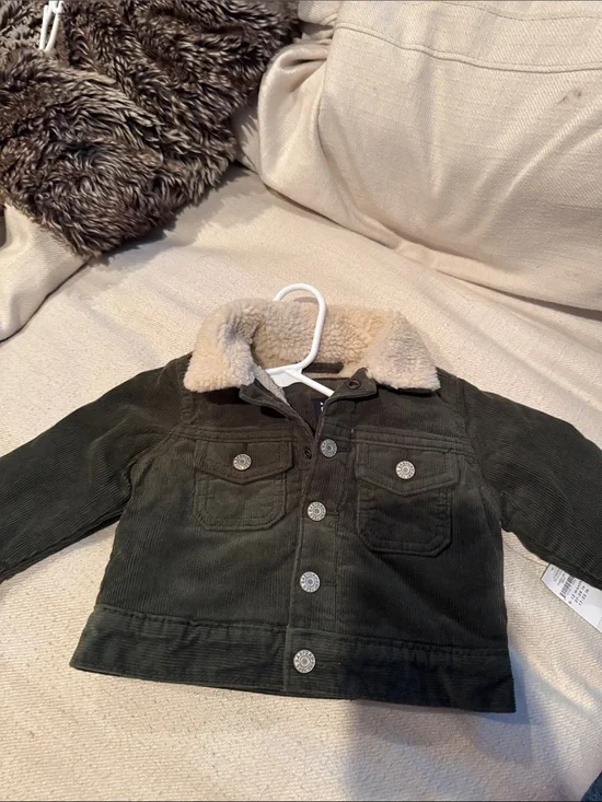 GAP Olive Green Corduroy Jacket with Cream Sherpa Collar