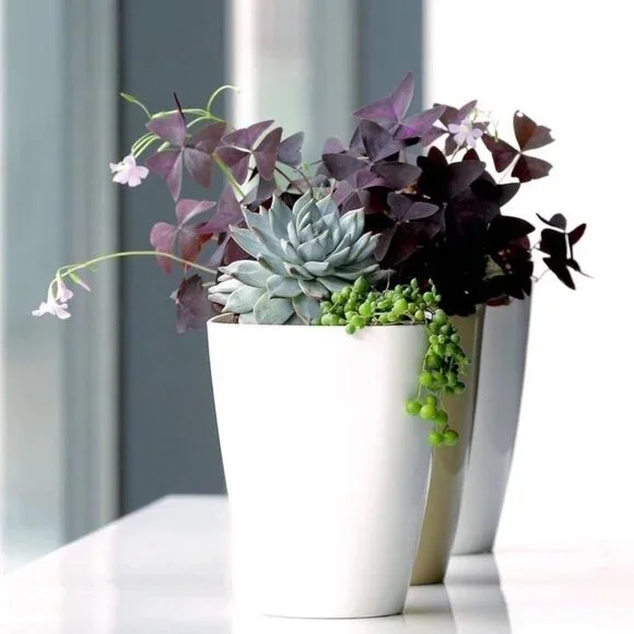 Matte Off White Stoneware Vase
