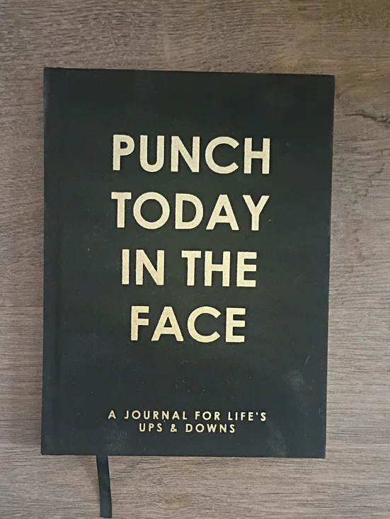 Punch Today In The Face Gold Lettered Journal