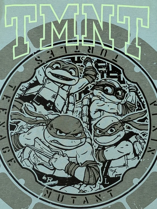 NWT Gap TMNT Teenage Mutant Ninja Turtles Tee Shirt