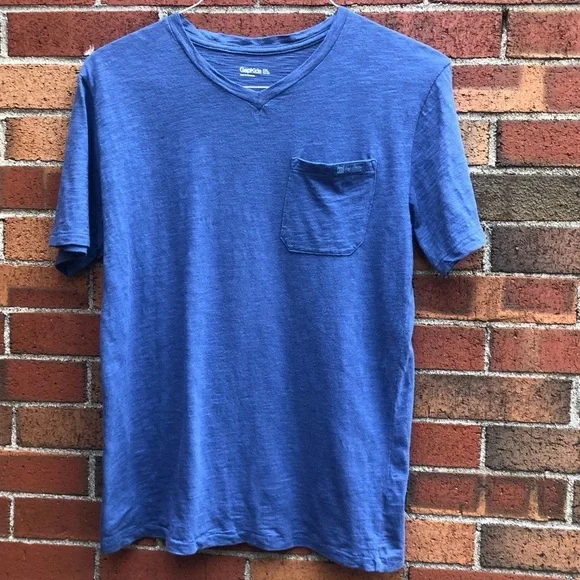 Gap v neck blue tee