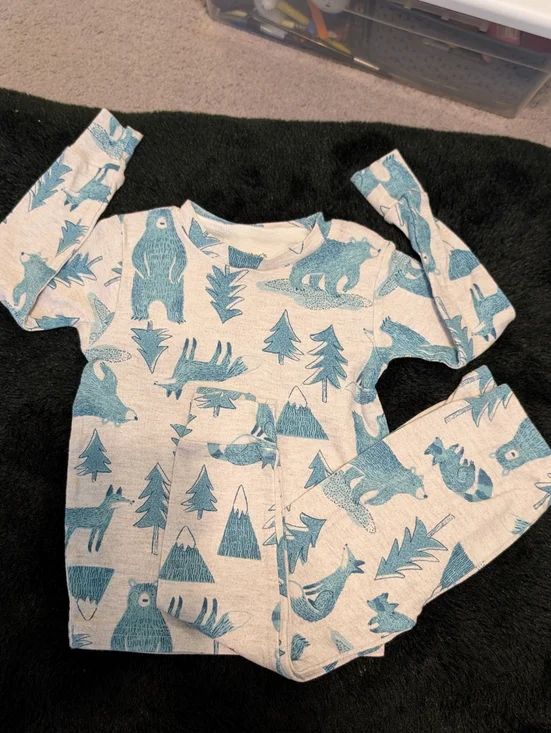 Carter's Light Blue & White Animal Print Bears Foxes Woodland 2T Toddler Pajama