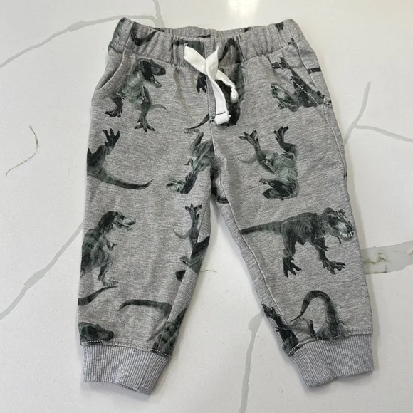 Carter’s gray t-Rex dinosaur jogger sweatpants size 3 months 🦖