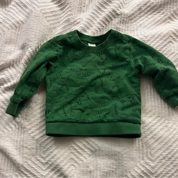 Carter’s Crewneck Sweatshirt Toddler 18 months‎ Dinosaurs Green GUC