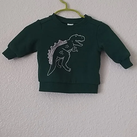 Little Boy's Carter's Dinosaur LS Sweatshirt 3m