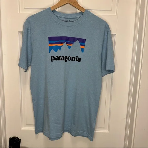 Patagonia Men's‎ Medium Light Blue Mountain Tee