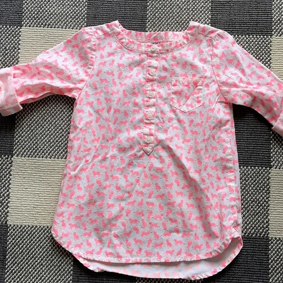 Carter’s Cat shirt dress 3T