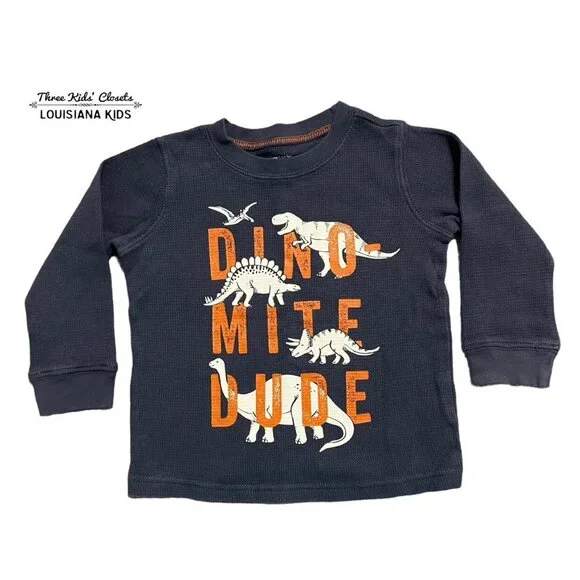 Carter's 18m Dinosaur Waffle Knit Shirt