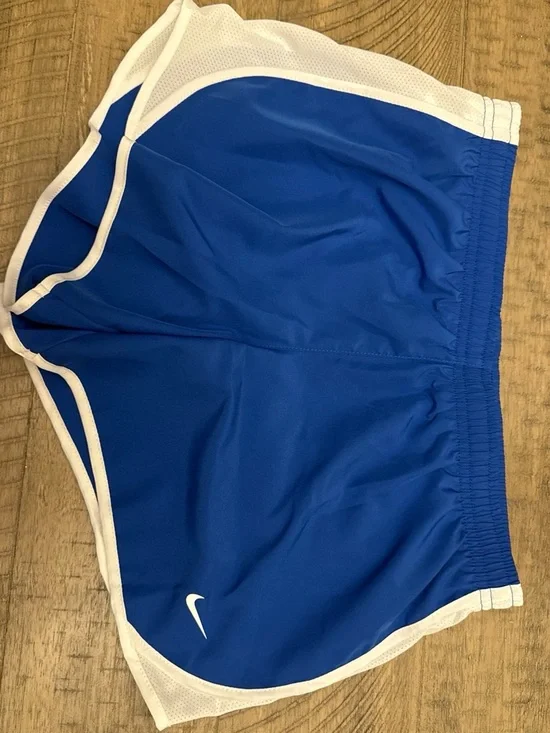 Nike Royal Blue and White Athletic Shorts
