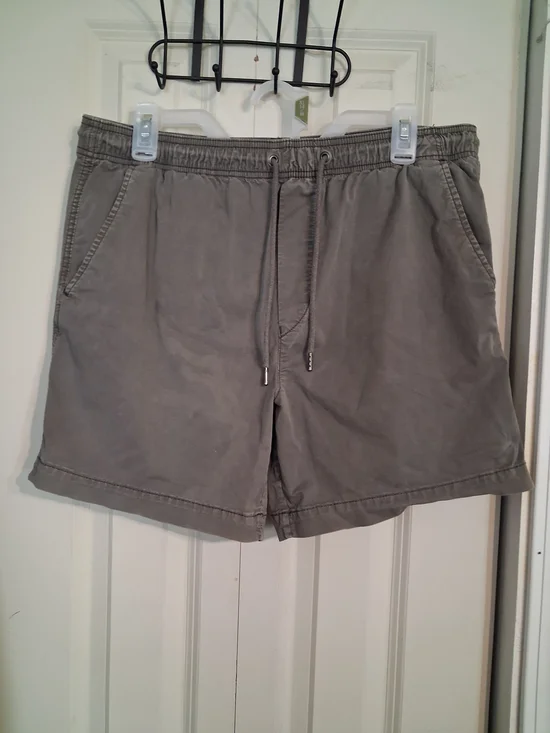 American Eagle Outfitters Flex Shorts in Gray