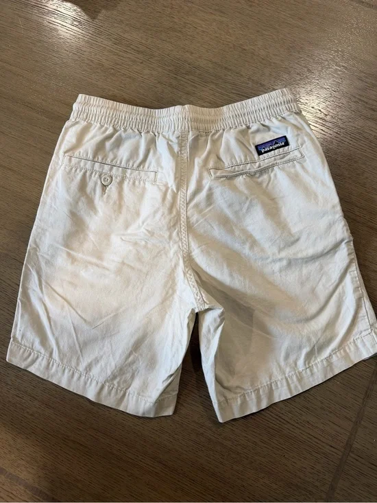 Patagonia Shorts