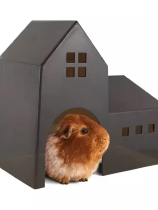 Full Cheeks™ Small Pet Tower Hideaway