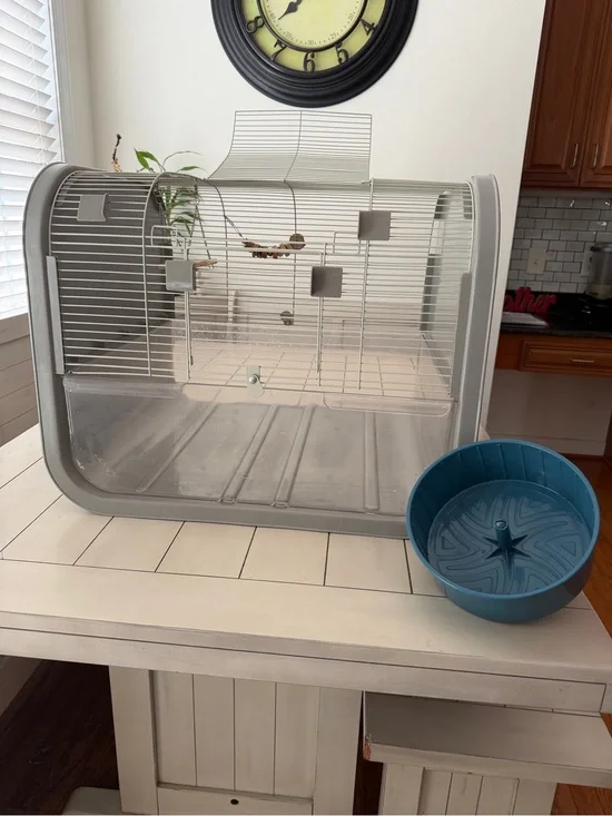 Small Pets Cage with Wheel - Gray and Teal