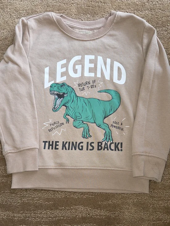 Kids' Legend T-Rex Crewneck Sweatshirt - Beige & Green