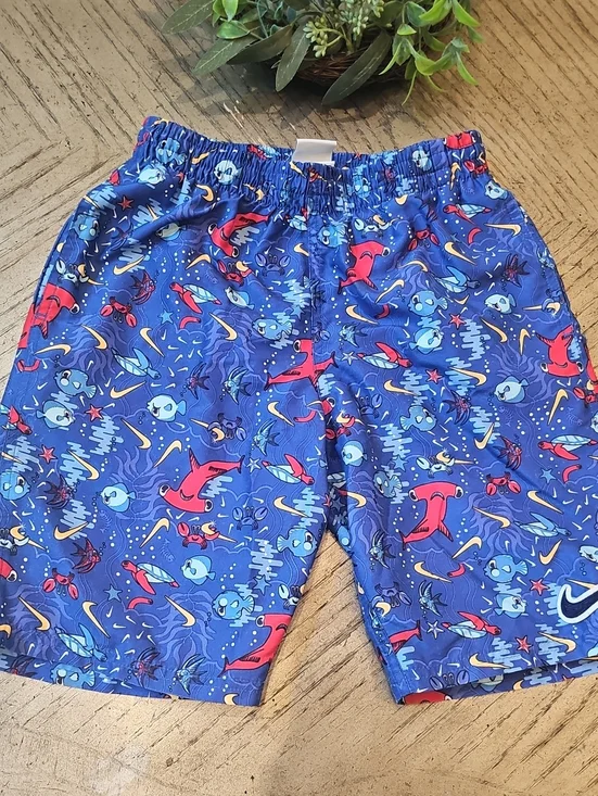 Nike Swim Trunks Size M