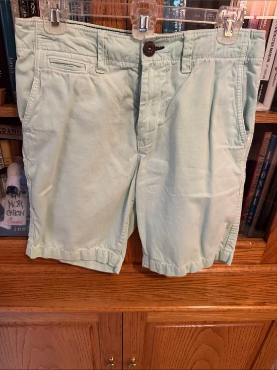 American Eagle Outfitters Light Mint Flat Front Chino Shorts