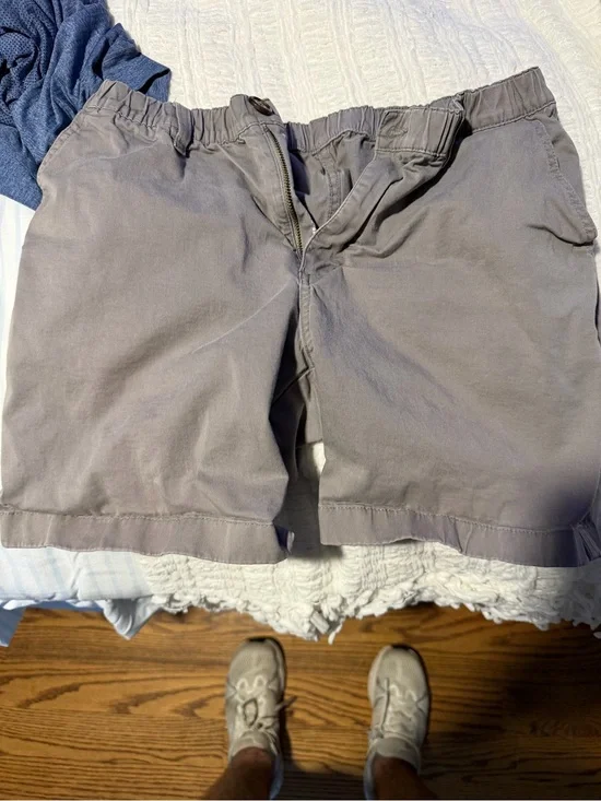 Chubbies Shorts in Light Gray 7in