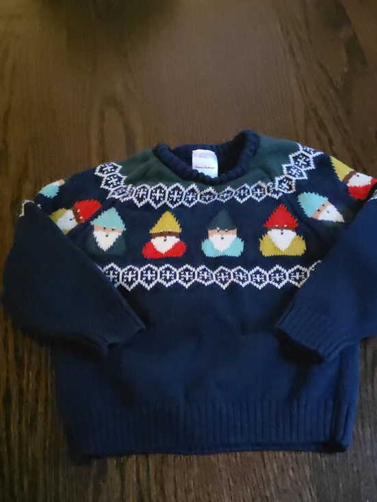 Hanna Andersson Navy Sweater with Colorful Gnome Motif