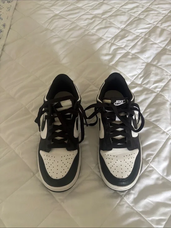 Nike Dunks Youth Sneakers