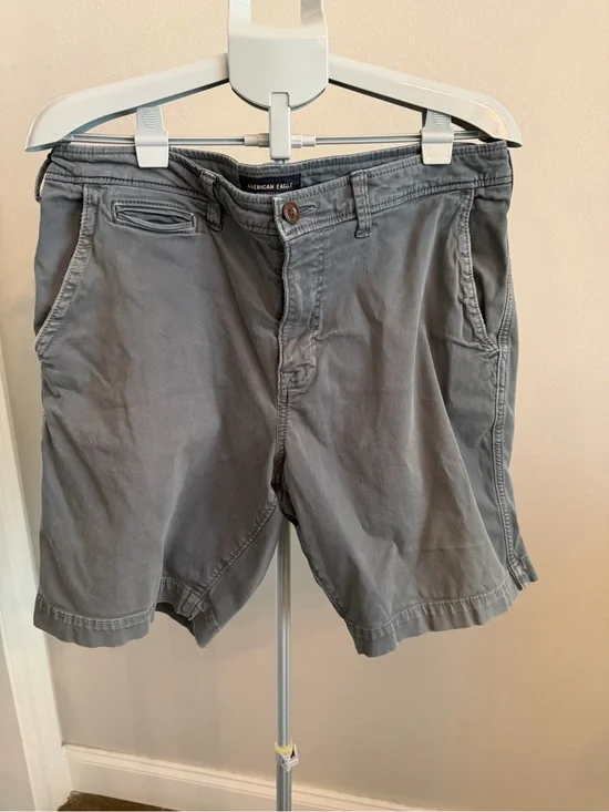 American Eagle Outfitters Gray Flat-Front Men's Shorts