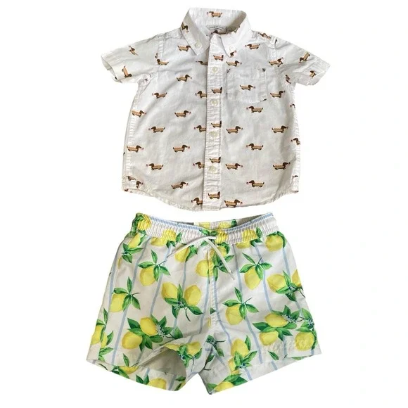 Janie And Jack Boy 2T Shirt And Swim Shorts