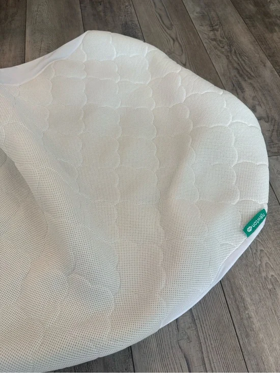 Newton Crib Mattress Protector