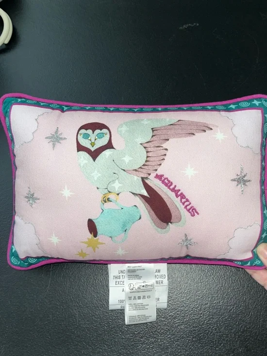 Lou Benesch X Anthropologie Miniature Stargazer embroidered pillow