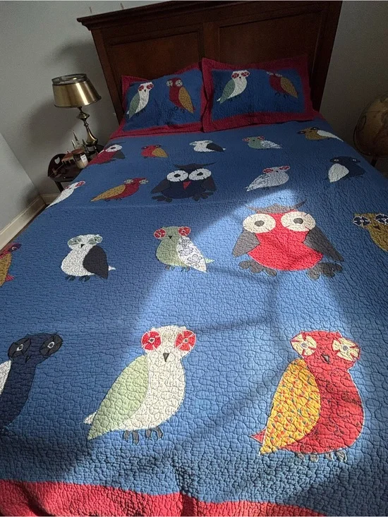 Owl Full Queen Quilt & Pair Standard Shams Set READ