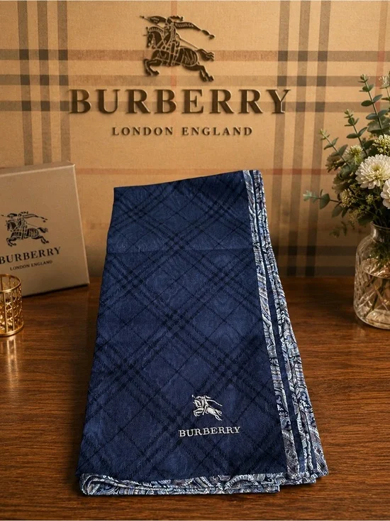 Burberry vintage preowned blue and paisley trimmed scarf