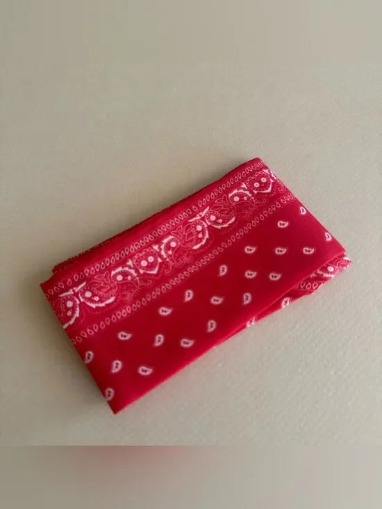 Red Paisley Scarf M1591