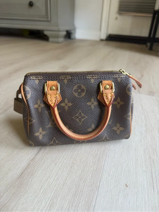 Louis Vuitton Speedy mini HL