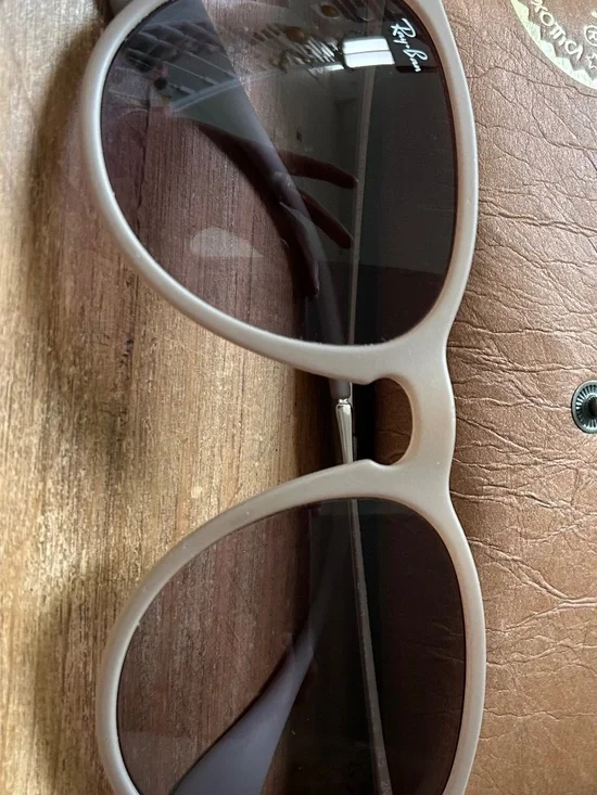 RayBan Erika sunglasses