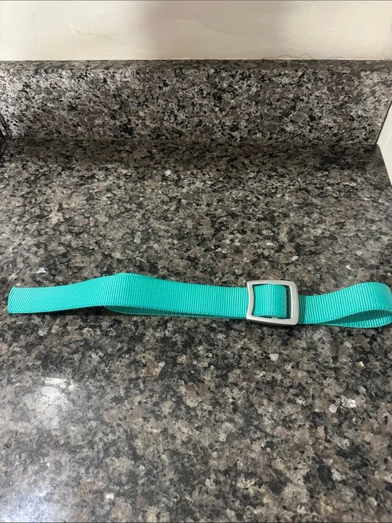 Patagonia Aqua Teal Webbing Belt with Silver Buckle