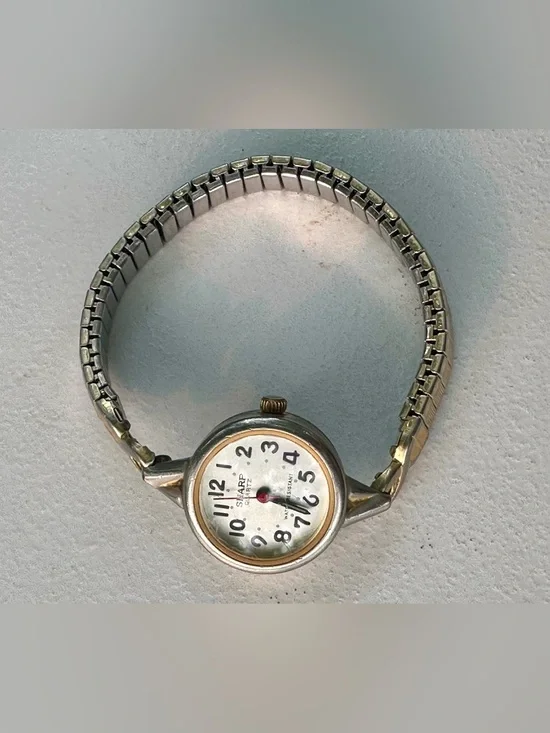 Ladies Two-Tone Round Dial Wristwatch with Expansion Band