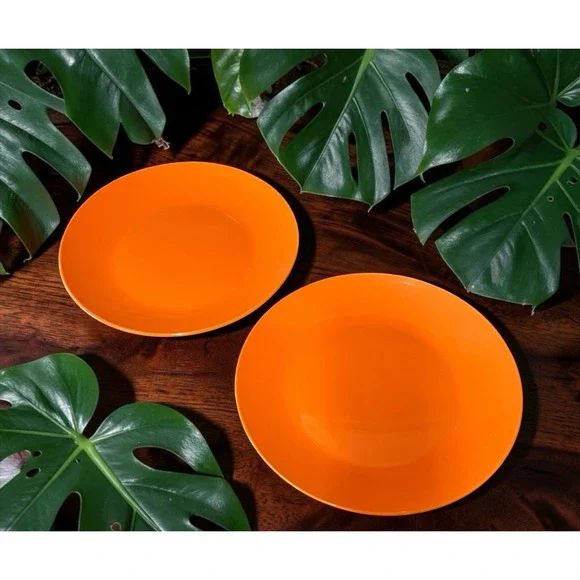 2 Royal Norfolk Dinner Plates Bright Orange Halloween 10.5 inches Festive VTG