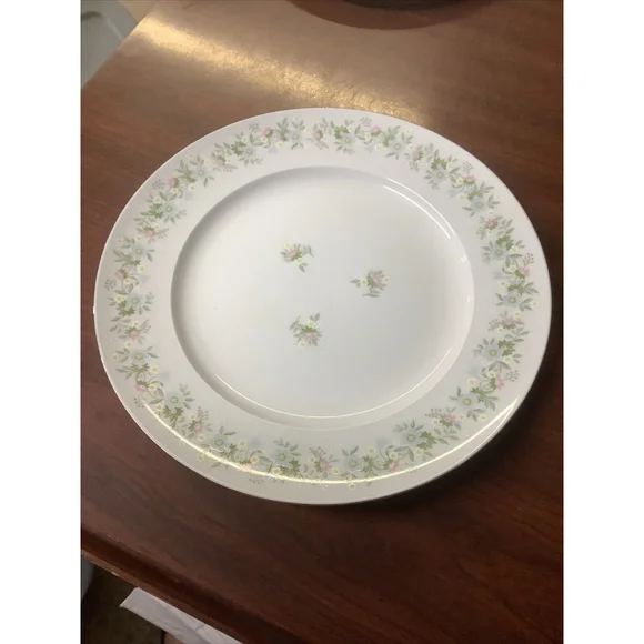 Johann Haviland Dinner Plate Bavaria Germany Forever Spring China 10