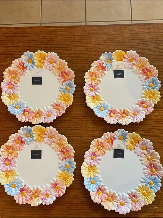 4 NWT Farmhouse Rachel Ashwell Embossed Daisy Floral Melamine Dinner Plates 11