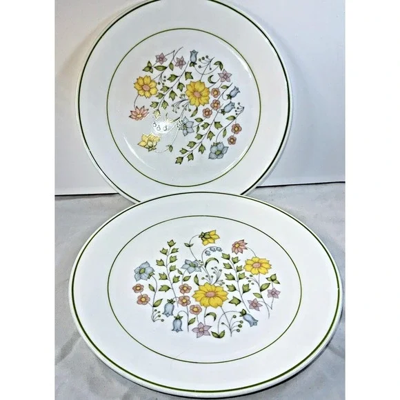 Corelle MEADOW Pattern 10.25
