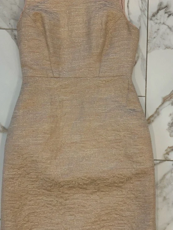 Kate Spade Rose Gold Della Sheath Dress Sheath Size 4