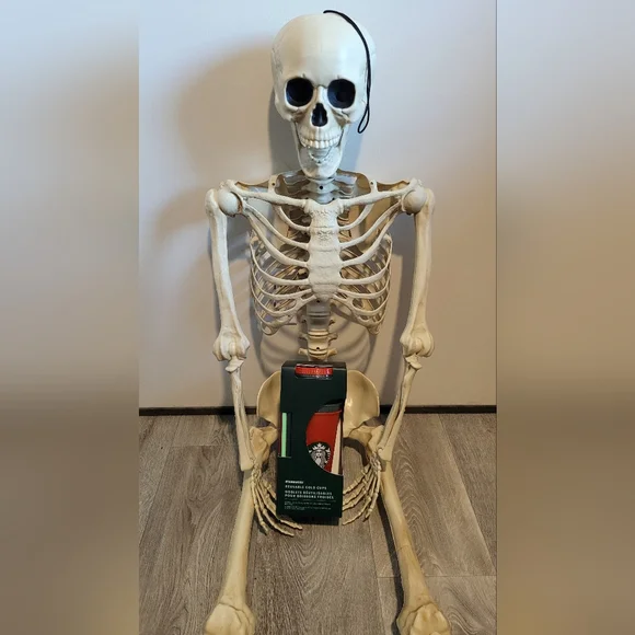Holiday Cold Cup Set By Starbucks