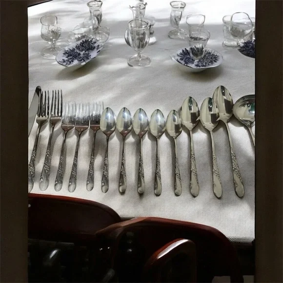 VTG 17 Piece 1950 Oneida Tudor Plate Community Bridal Wreath Floral Pattern