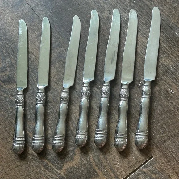 Southern Living Gallery Stainless Glossy Dinner Knives Set of 7 Silverware 9.5in