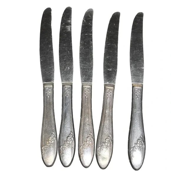 Tudor Silver Plate Stainless Floral Dinner Knives Set of 5 Flatware Silverware