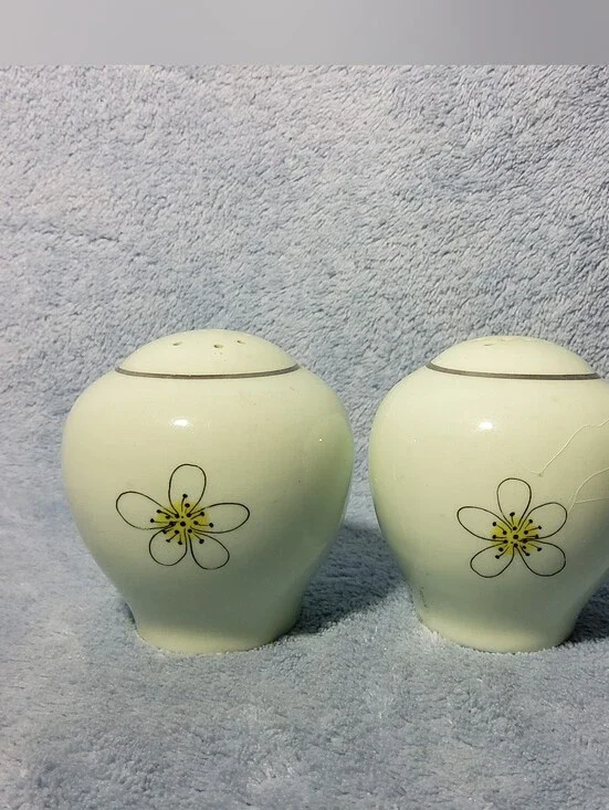 Vintage 1950s Nobility Permaware Mist S&P Shakers MCM Atomic Daisies No Stoppers