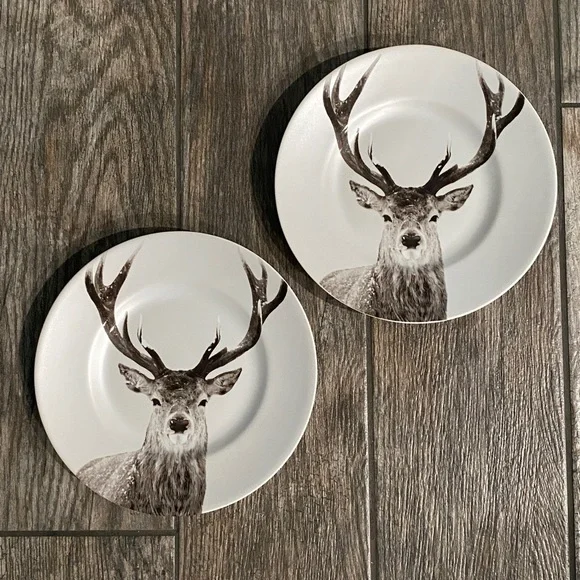 Pier 1 Snow Forest Winter Buck Stag Deer Porcelain Accent Salad Plate 8.5