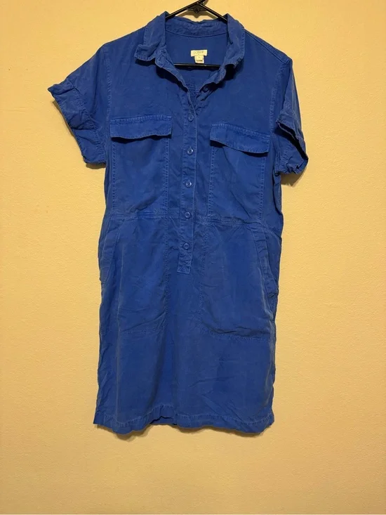 J. Crew Vibrant Blue Button-Up Shirt